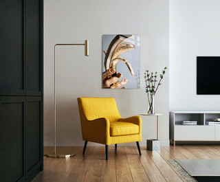 70x100 cm, Multicolor