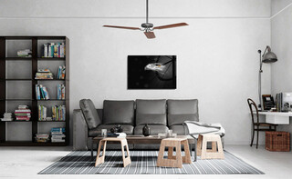 70x100 cm, Multicolor