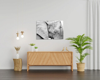70x100 cm, Multicolor