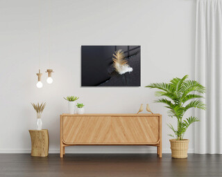 70x100 cm, Multicolor