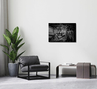 70x100 cm, Multicolor