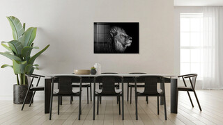 70x100 cm, Multicolor