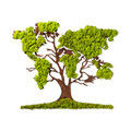 Decoratiune de perete, Tree 2, 100% MDF/MOSS (grosime: 6 mm), Dimensiune: 71 x 1 x 59 cm, Verde/Maro
