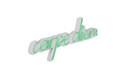 Decoratiune luminoasa LED, Carpe Diem, Benzi flexibile de neon, DC 12 V, Verde