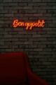 Decoratiune luminoasa LED, Bon Appetit, Benzi flexibile de neon, DC 12 V, Rosu