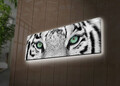 Tablou decorativ cu lumina LED, 3090DACT-19, PÂNZĂ 100% PIELE ÎNTOARSĂ / Dimensiune: 30 x 90 cm / Cadru: 100% lemn (Grosime: 3 cm) / Lumini LED pe spate / Alimentat de 1 baterie de 9 volți / Buton pornit/oprit, Multicolor
