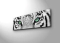 Tablou decorativ cu lumina LED, 3090DACT-19, PÂNZĂ 100% PIELE ÎNTOARSĂ / Dimensiune: 30 x 90 cm / Cadru: 100% lemn (Grosime: 3 cm) / Lumini LED pe spate / Alimentat de 1 baterie de 9 volți / Buton pornit/oprit, Multicolor