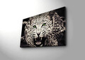 Tablou decorativ cu lumina LED, 4570İACT-43, PÂNZĂ 100% PIELE ÎNTOARSĂ / Dimensiuni: 45 x 70 cm / Cadru: 100% lemn (Grosime: 3 cm) / Lumini LED în interior / Alimentat de 1 baterie de 9 volți / Buton pornit/oprit, Multicolor