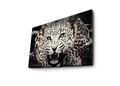 Tablou decorativ cu lumina LED, 4570İACT-43, PÂNZĂ 100% PIELE ÎNTOARSĂ / Dimensiuni: 45 x 70 cm / Cadru: 100% lemn (Grosime: 3 cm) / Lumini LED în interior / Alimentat de 1 baterie de 9 volți / Buton pornit/oprit, Multicolor