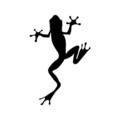 Decoratiune de perete, Frog, Dimensiune: 28 x 42 cm, Negru