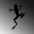 Decoratiune de perete, Frog, Dimensiune: 28 x 42 cm, Negru