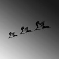 Decoratiune de perete, Ducks, Dimensiune: 11 x 16 cm (1 bucată), Negru