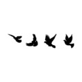 Decoratiune de perete, Pigeons, Dimensiune: 13 x 22 cm (1 bucată), Negru