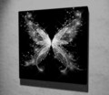 Tablou decorativ, KC059, Dimensiune: 45 x 45 cm, Multicolor