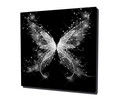 Tablou decorativ, KC059, Dimensiune: 45 x 45 cm, Multicolor