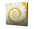 Tablou decorativ, KC065, Dimensiune: 45 x 45 cm, Multicolor