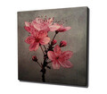 Tablou decorativ, KC081, Dimensiune: 45 x 45 cm, Multicolor