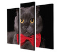 Set 3 tablouri decorative, UC57, Canvas, 45 x 20 cm, Multicolor