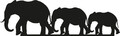 Decoratiune de perete, Elephants, Dimensiune: 15 x 50 cm, Negru