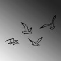 Decoratiune de perete, Birds Sorty, 19 x 1,5 x 9 cm, Negru