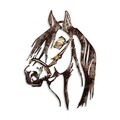 Decoratiune de perete, Horse, Metal, 38 x 53 cm, Multicolor