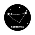 Decoratiune de perete, Caprıcorn Horoscope, Metal, Dimensiune: 48 x 48 cm, Negru