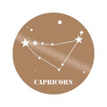 Decoratiune de perete, Caprıcorn Horoscope, Metal, Dimensiune: 48 x 48 cm, Cupru