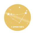 Decoratiune de perete, Caprıcorn Horoscope, Metal, Dimensiune: 48 x 48 cm, Auriu