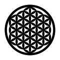 Decoratiune de perete, Flower Of Life 3, Metal, Dimensiune: 48 x 48 cm, Negru