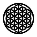 Decoratiune de perete, Flower Of Life 3, Metal, Dimensiune: 48 x 48 cm, Negru