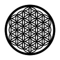 Decoratiune de perete, Flower Of Life 1, Metal, Dimensiune: 48 x 48 cm, Negru