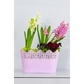 Jardiniera Koronka dantelata, plastic, 27x15x16 cm, roz