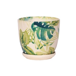 Crem/Verde, 15 cm
