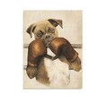 Tablou decorativ, DC235, Rama din lemn (grosime 3 cm), Multicolor