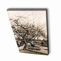 Tablou decorativ, 4570VANGOGH020, Lemn, Multicolor