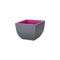 Ghiveci patrat Muna, 40cm, antracit/ciclamen