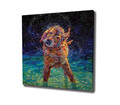 Tablou decorativ, KC425, Canvas imprimat, Multicolor
