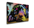 Tablou decorativ, WY164 (50 x 70), 50% BUMBAC / 50% POLIESTER / Imprimare digitală pe pânză / Dimensiuni: 50 x 70 cm / Ramă din lemn: 2 x 3 cm, Multicolor