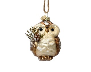 Barna, Owl w pinecone