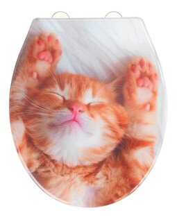 37.5x45 cm, Multicolor, Cat