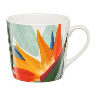 Multicolor;Alb, Cana 400 ml, model birds