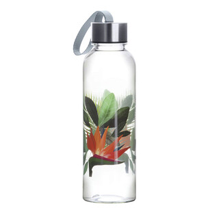 Transparent;Multicolor, Sticla apa Birds 550 ml
