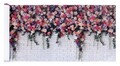 Folie paravan pentru balcon si gradina, Maximex, Roses, 500x85 cm, plastic, multicolor