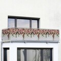 Folie paravan pentru balcon si gradina, Maximex, Roses, 500x85 cm, plastic, multicolor