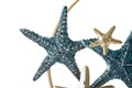Ceas de perete Sea Star, Mauro Ferretti,  91.4 x 67.3 cm, fier, multicolor