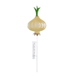 Galben, Onion