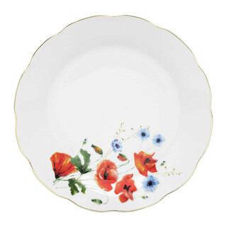 Multicolor, Farfurie intinsa