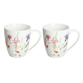 Multicolor, Set 2 cani