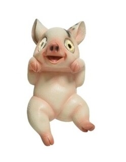 Pig