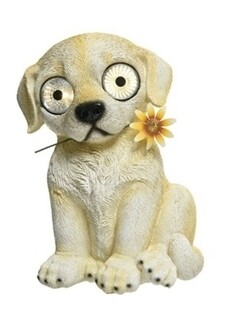 Retriever